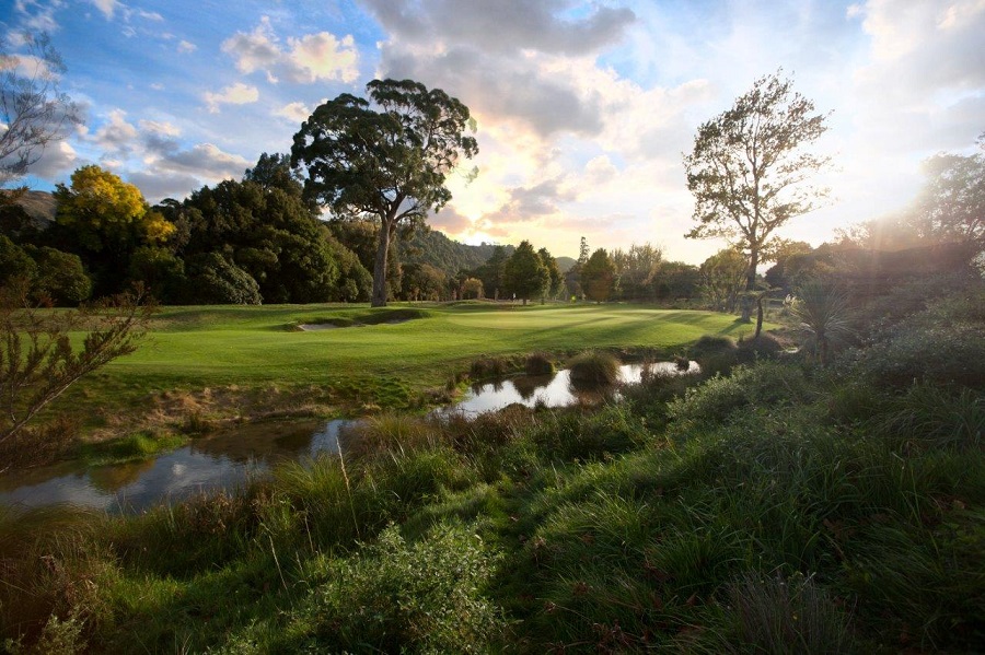 Royal Wellington Golf Club by David Bradley